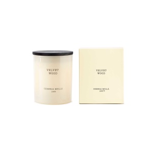 vela premium cereria molla-velvet-vegetal-templo ikigai